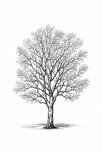 A minimal tree sketch outdoors drawing. AI generated Image by rawpixel.