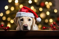 LABRADOR PUPPY christmas mammal animal. AI generated Image by rawpixel.