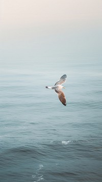 Seagull flying ocean outdoors. AI generated Image by rawpixel.