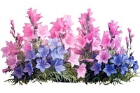 Flower gladiolus blossom plant. AI generated Image by rawpixel.