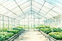 Feild inside greenhouse gardening outdoors nature. 