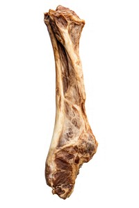 Meat food bone white background. AI generated Image by rawpixel.