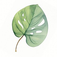 Jungle plant leaf nature. AI generated Image by rawpixel.
