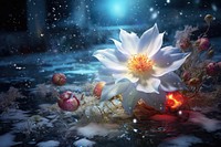 New Year flower christmas outdoors. AI generated Image by rawpixel.