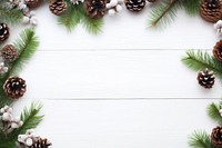 New year tree fir backgrounds. 