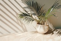 Tropical palm tree shadow window plant. AI generated Image by rawpixel.