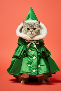 Cat in Christmas tree costume. AI generated Image by rawpixel.