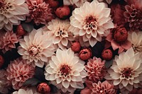 Floral pattern flower dahlia. AI generated Image by rawpixel.