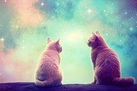 Animal mammal kitten galaxy. AI generated Image by rawpixel.
