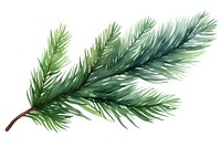 Fir branches holiday spruce plant. AI generated Image by rawpixel.