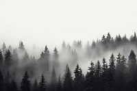 Forest tree fog outdoors. AI generated Image by rawpixel.