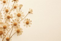 Real pressed a single Feverfew flower pattern petal. AI generated Image by rawpixel.