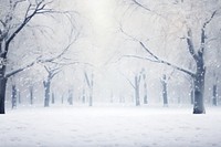 Winter forest snow blizzard outdoors. AI generated Image by rawpixel.