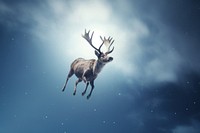 Reindeer wildlife animal mammal. AI generated Image by rawpixel.