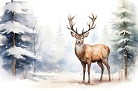 Reindeer wildlife standing winter. AI generated Image by rawpixel.