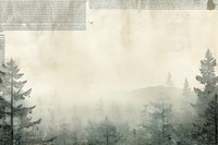 Forest backgrounds outdoors nature. AI generated Image by rawpixel.