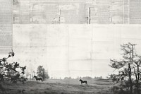 Horse farm outdoors nature mammal. AI generated Image by rawpixel.