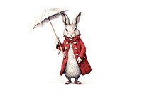 A rabbit standing cartoon costume. AI generated Image by rawpixel.
