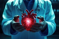 Doctor holding a plastic heart adult illuminated expertise. AI generated Image by rawpixel.