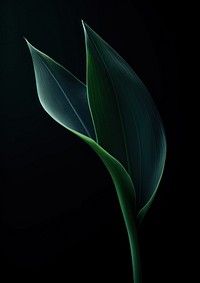 Green leaf plant petal. AI generated Image by rawpixel.