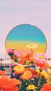 Flower outdoors nature circle. AI generated Image by rawpixel.