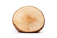 Single sliced round Birch wood plant tree white background. AI generated Image by rawpixel.