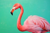 Flamingo animal beak bird. AI generated Image by rawpixel.