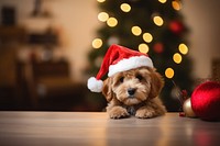 Christmas decoration mammal animal. AI generated Image by rawpixel.