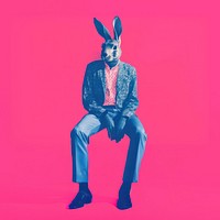 Rabbit sitting adult representation. AI generated Image by rawpixel.