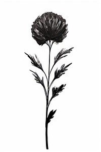 Black flower drawing sketch plant. AI generated Image by rawpixel.