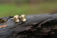 Stud Earrings jewelry earring plant. AI generated Image by rawpixel.
