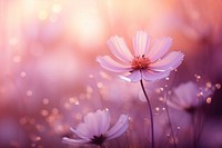 Pink flower nature outdoors blossom. AI generated Image by rawpixel.