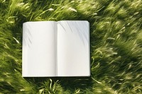 Book grass publication plant. AI generated Image by rawpixel.