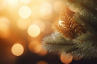 Christmas tree light outdoors nature. AI generated Image by rawpixel.