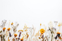 Wildflowers outdoors nature plant. AI generated Image by rawpixel.
