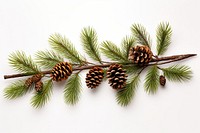 Christmas tree branche fir twig pine christmas plant. AI generated Image by rawpixel.