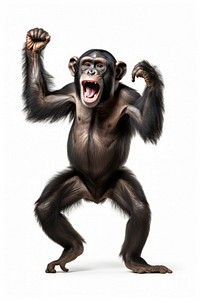 Happy smiling chimpanzee dancing wildlife monkey mammal. AI generated Image by rawpixel.