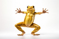 Happy smiling frog dancing amphibian wildlife reptile. AI generated Image by rawpixel.