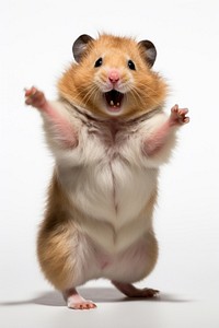 Happy smiling hamster dance mammal rodent animal. AI generated Image by rawpixel.