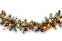 Christmas conifer branch plant. AI generated Image by rawpixel.