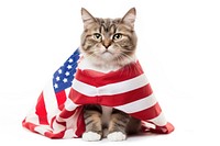 America flag mammal animal pet. AI generated Image by rawpixel.