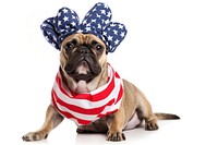 America flag dog bulldog mammal. AI generated Image by rawpixel.