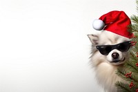 Dog christmas glasses mammal. AI generated Image by rawpixel.