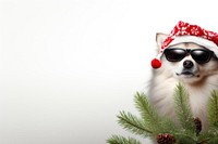 Dog sunglasses christmas portrait. AI generated Image by rawpixel.