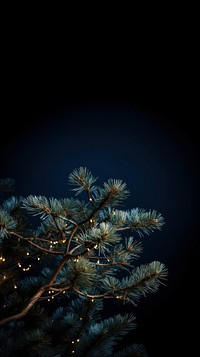 Pine tree christmas outdoors nature. AI generated Image by rawpixel.