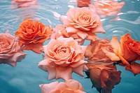 Roses underwater flower petal. AI generated Image by rawpixel.