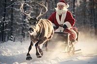 Santa Claus christmas mammal animal. AI generated Image by rawpixel.