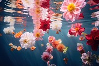 Summer flowers underwater outdoors nature. AI generated Image by rawpixel.