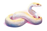 Snake zodiac reptile animal white background. AI generated Image by rawpixel.