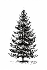 Christmas tree pine drawing conifer. AI generated Image by rawpixel.